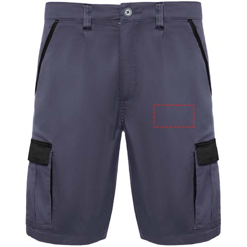 Tahoe Arbeitsshorts, 250 g/m2